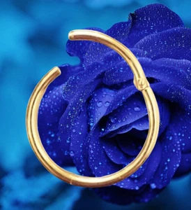 I OHRRING PIERCING CLICKER 8 mm I Echt 585 Gelbgold I Intim Tragus I 46011-8 I - Bild 1 von 7