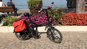 16 Zoll E Bike Pedelec Cityräder Elektrofahrrad 250W 36V  Klapprad - Bild 1 von 3