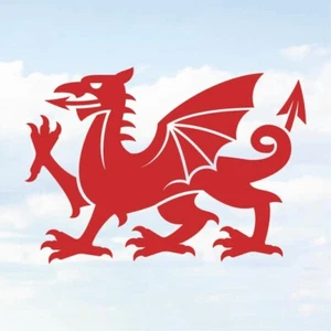 Welsh Dragon Cymru Wales Car Van Bumper Window Vinyl Decal Sticker 135x95mm - Picture 1 of 8