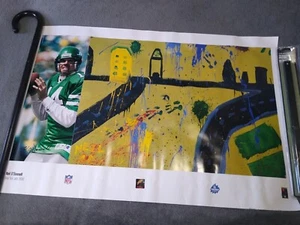 Vtg 1996 NFL QB Posters Lot Of 5 ( 2 Bledsoe 3 O Donnell) Tru Test Tru Artist  - Picture 1 of 6