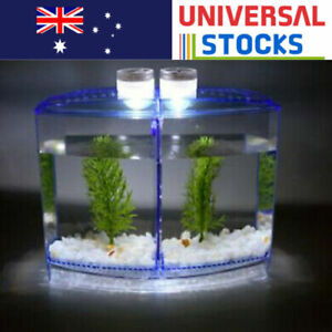 2pcs Mini Aquarium Fish Tank With Betta Fighting Fish Gifts AU