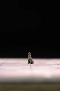 Bambola cane Doberman Hound 1/64 modello resina - Foto 1 di 9