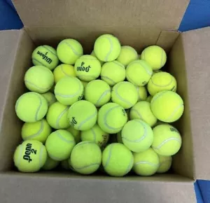 100 Used Tennis Balls - LOW COST DOG BALLS - Picture 1 of 2