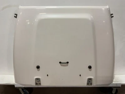 Jeep TJ Wrangler OEM capó piedra blanco PW1 1997-2002 2003 2004 2005 2006 059121 Foto 1 de 4