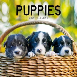 Puppies 2025 Calendar - Picture 1 of 4
