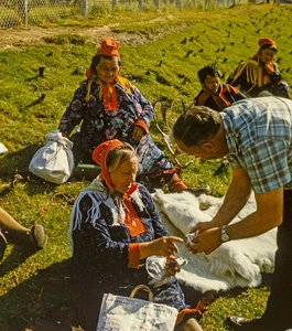 Vintage Stereo Realist Photo 3D Slide NORWAY Lapps Sell Trinkets Karasjok - Picture 1 of 2