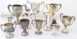 Trophy Cup Collection Twin Handled Silver Plated Plain Unengraved Vintage Lot - Picture 1 of 23