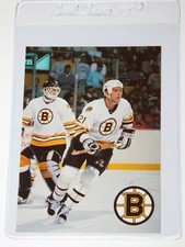 1989-90 BOSTON BRUINS SPORTS ACTION STEPHANE QUINTAL CARD (Near Mint)
