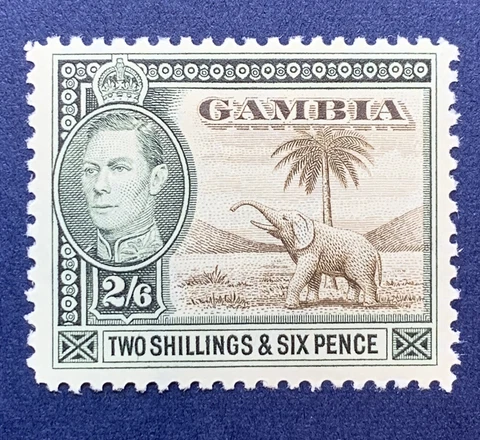 1938 GAMBIA 2S 6P STAMP #140 MINT HING OG KING GEORGE VI AFRICAN ELEPHANT Cover