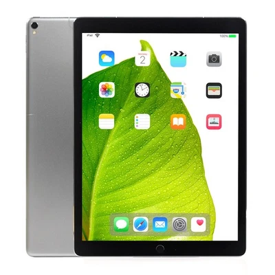 Apple iPad Pro 12.9" Space Gray 256GB Wi-Fi Cellular Tablet MPA42LL/A A1671 - B - Image 1 of 4