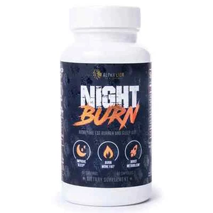 Alpha Lion Night Burn Nighttime Fat Burner Weight Loss Sleep Aid 60 Capsules New - Picture 1 of 4