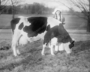 Dutch Girl With Pet Cow Vintage 8x10 Reprint Of Old Photo - Picture 1 of 1