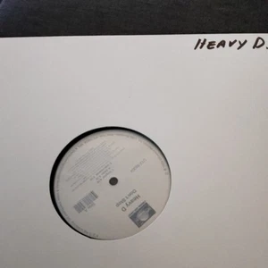 Heavy D – Don't Stop 12" US-1999 VG+ - Bild 1 von 3