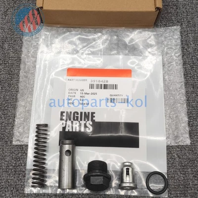 NEW Oil Pressure Regulator Pressure Relief Valve Set for Dodge Cummins 4BT 6BT Foto 1 de 4