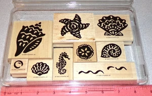 Stampin Up Definitiv Deko Muscheln Stempelset Muscheln Ozean Maritim SAUBER - Bild 1 von 9