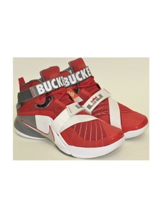 lebron james ohio state shoes
