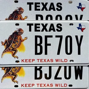 Texas KEEP TEXAS WILD Graphic License Plate - HORNY TOAD - LIZARD - Picture 1 of 3
