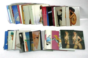 Sexy Robots and Pinups Hajime Sorayama Cards - Lot of 132 - Comic Images 1993 - Bild 1 von 1