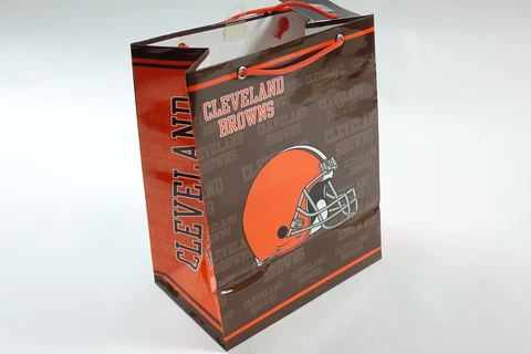 NFL Cleveland Browns Medium Gift Bag M Cover