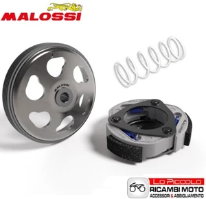 KIT FRIZIONE E CAMPANA + MOLLA MALOSSI KYMCO PEOPLE GTi 125 ie 4T LC euro 3 - Imagen 1 de 5