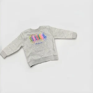 NWT Polo Ralph Lauren Toddler Girl’s Andover Sweatshirt Size 24 Months Gray $55 - Picture 1 of 2