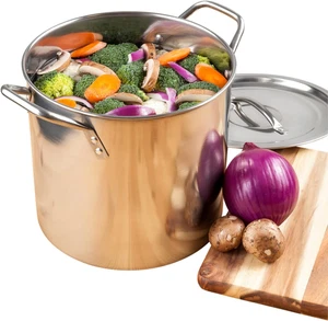 Medium Stainless Steel Prep N Cook Stockpot, 20 Quart, Silver - Picture 1 of 1
