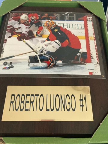 ROBERTO LUONGO #1 NHL Hockey Florida Panthers Wood Plaque 15"x12" Pre-owned Cover