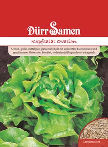 Ensalada de cabeza Ovación semillas de Dürr semillas de ensalada aprox. 250 grano semillas de ensalada de cabeza - Imagen 1 de 1