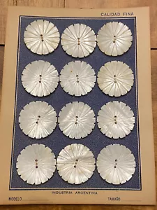 vintage natural shell buttons made in Argentina, daisy flower design - Picture 1 of 5