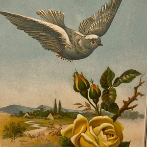 Dove Bird Flowers Trade Card Victorian Vintage Print - Picture 1 of 4