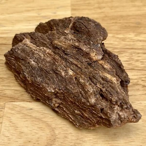 11.8oz UTAH Raw Rough PETRIFIED FOSSIL WOOD Log 4.75” HEAVY CRYSTALS WHITE CRYST - Picture 1 of 12