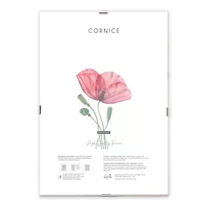 Cornice a Giorno con protezione in Crilex foto documenti diplomi stampe poster - Foto 1 di 141