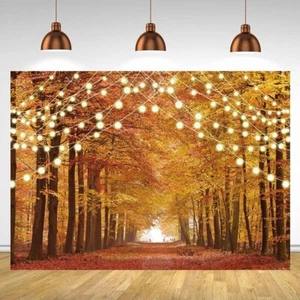 8x6 Fuß Glitzer Herbst Wald Fotografie Kulisse Herbst Landschaft Blätter AJV - Bild 1 von 3