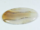 72Cts. Natural Montana Agate Stone Oval Cabochon Loose Gemstone 30X58X04 MM A142