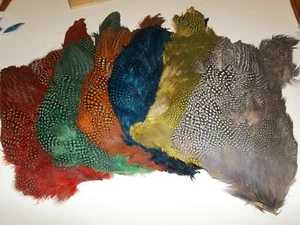 Guinea hen feathers 1/2 skin pelt natural red blue green yellow orange + more - Picture 1 of 65