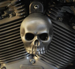 Harley Horn Cover Skull with Aged aluminum finish. SKU-HA-2 - Picture 1 of 4