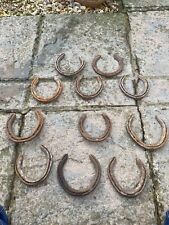 Real Genuine Lucky Horse Shoe Racehorse from Berkshire Area Wedding Gift Crafts