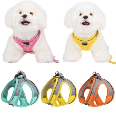 Pet Outdoor Walking Collar Leash Breathable Mesh Chest Rope Dog Harness Durable - Image 1 of 4