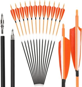 30" Carbon Arrow Archery SP500 4" 5" Turkey Feather Compoundbow Recurve Bow Hunt - Picture 1 of 18