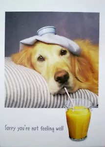 Papyrus Dog Get Well Soon Greeting Card - Picture 1 of 2
