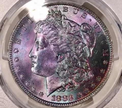 1883-O Morgan Dollar PCGS MS64 Rich Purple Plum Teal Pink Rainbow Toned w/Vid Cover