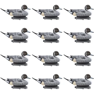 Floating Pintail Duck Decoys - 12 Pack - Picture 1 of 5