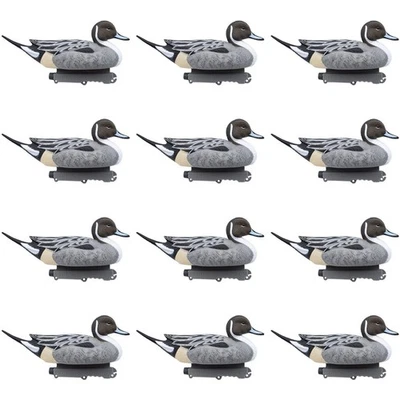 Floating Pintail Duck Decoys - 12 Pack - Image 1 of 4
