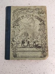 Antique Book Botany For Young People How Plants Grow Asa Gray 1858 - Picture 1 of 16