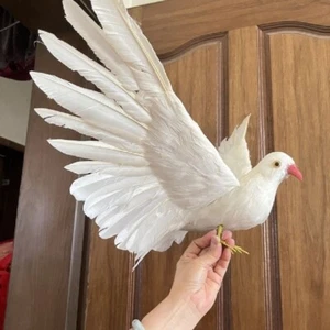 simulation dove model foam&feather wings bird garden decoration gift 32x55cm - Picture 1 of 3