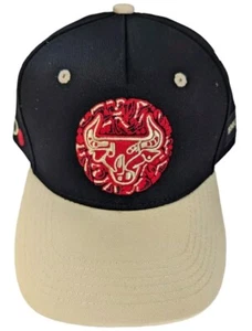 Chicago Bulls SGA Giveaway Artist Series Snapback Hat Walker TKL Art NBA Cap - Bild 1 von 7