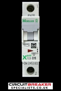 MOELLER 16 AMP CURVE B 6kA MCB CIRCUIT BREAKER XPOLE PLS6-B16 - Picture 1 of 6