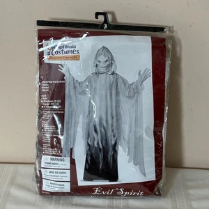 California Costumes Child's Evil Spirit Ghost Halloween Large 10-12 Spooky - Picture 1 of 6