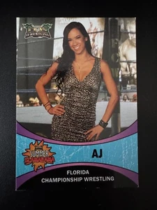 AJ LEE FCW ROOKIE RC Card Summer Slamarama WWE CM Punk Florida Championship RARE - Picture 1 of 4