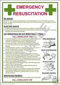 NOTFALL ERSTE HILFE REANIMATION ELEKTRISCHER SCHLAG ODER NICHT ATMEN A3 POSTER - Bild 1 von 1